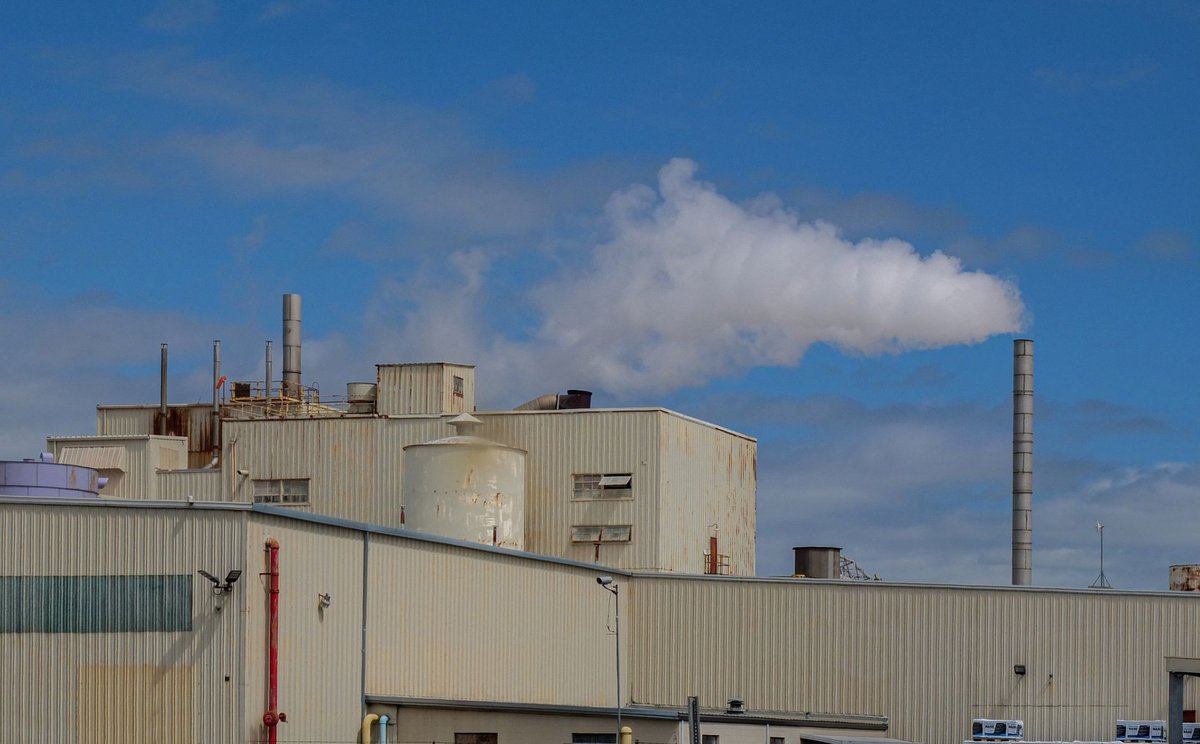 Firmy stále věří v net zero – slova jsou ale stále víc než činy