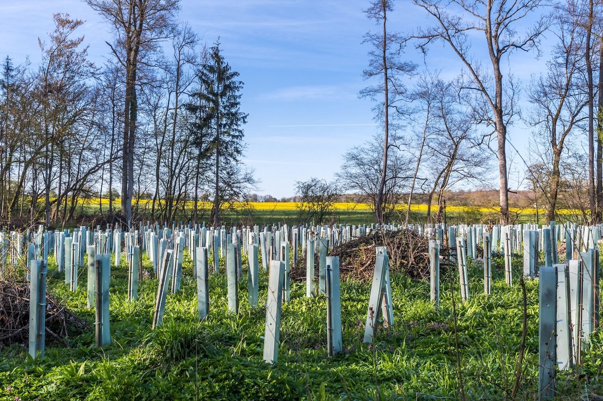 Odstraňování CO₂ z atmosféry musí růst rychleji než solární energie