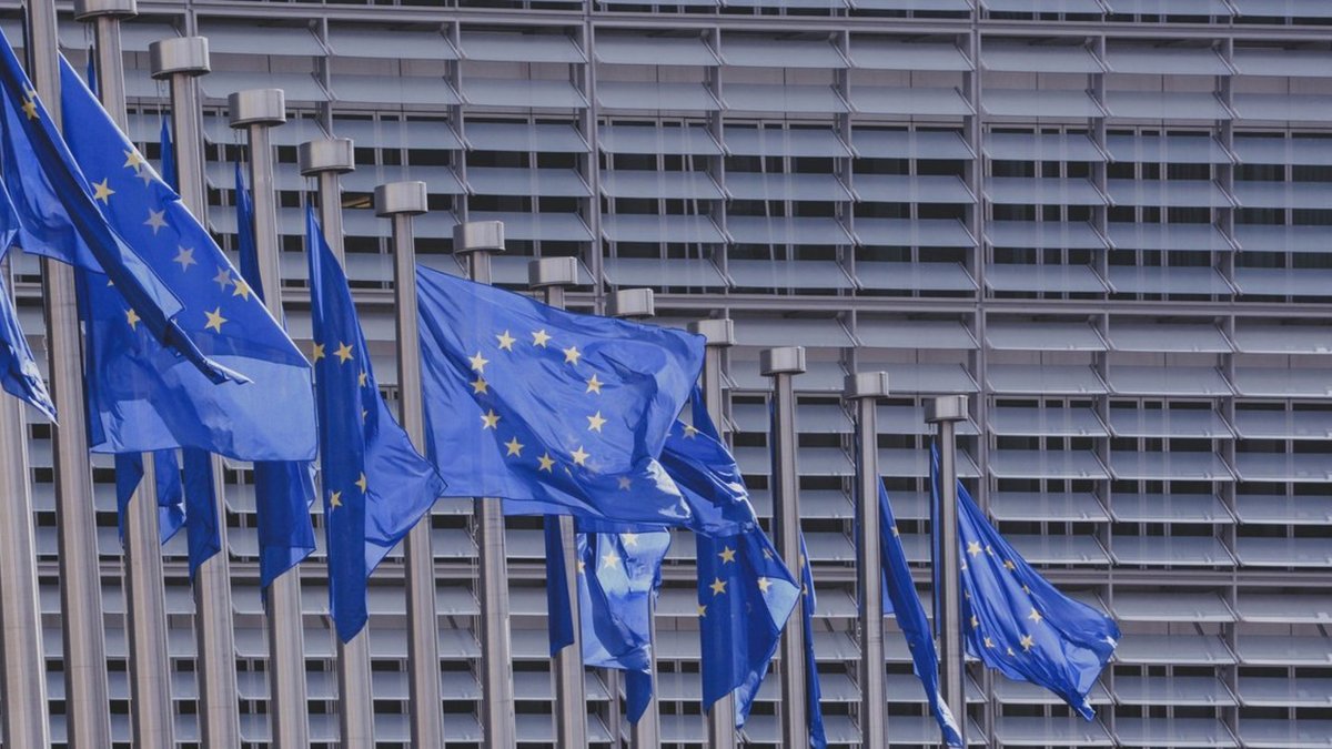 EU zjednodušuje regulaci proti odlesňování EUDR